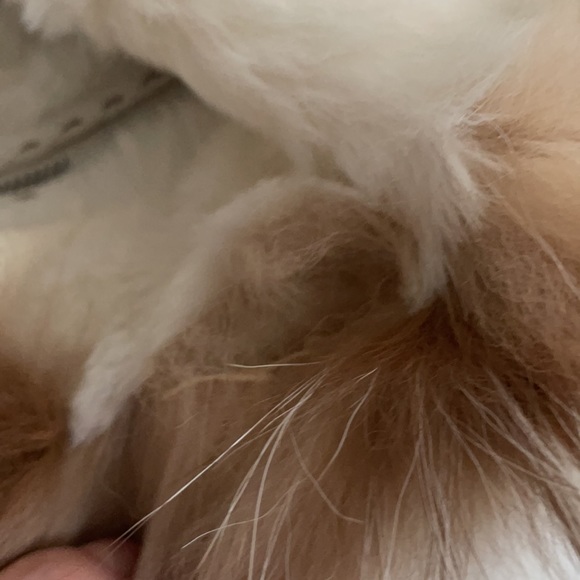 Fendi Rabbit Fur Bag - Picture 16 of 16